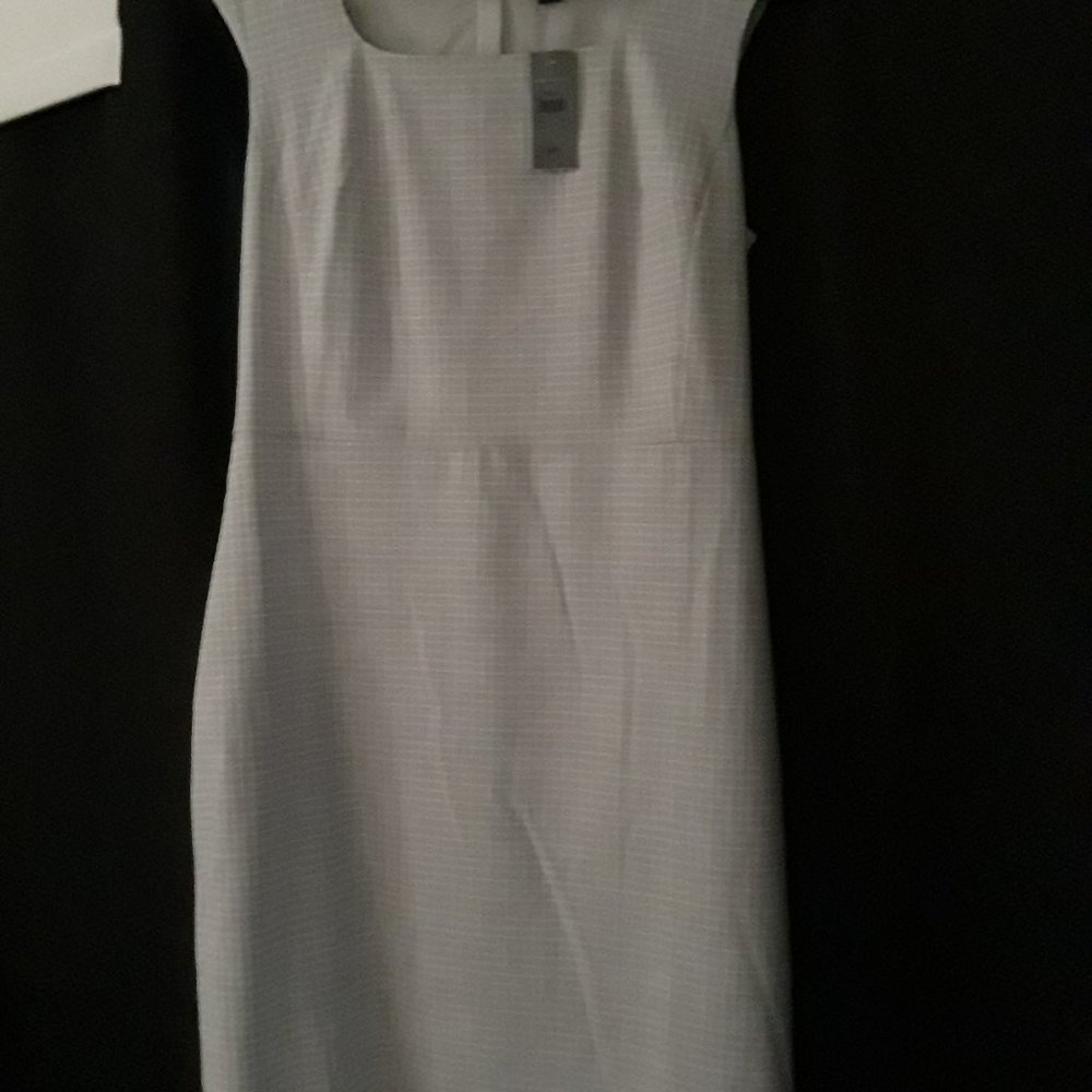 Ann Taylor fitted sleeveless dress